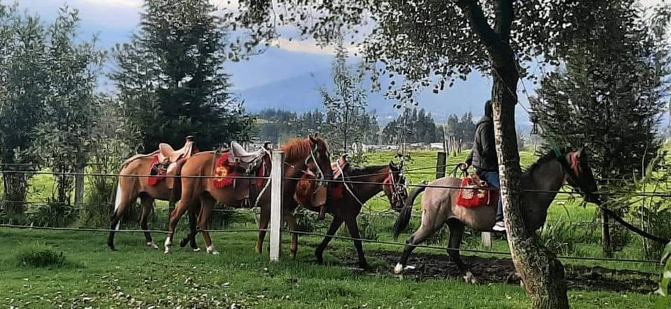 Experiencia en Hostería La Ponderosa
