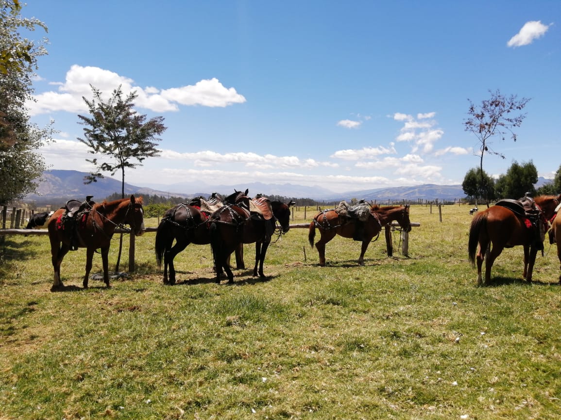Hostería La Ponderosa